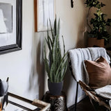 Artificial Snake Plant Sansevieria UV Resistant 90cm - 45-Degree Angle