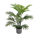 Premium Artificial Potted Premium Mini Palm Tree 55cm - Front View