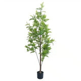 Premium Real Touch Artificial Bracken Palm Tree 180cm - Front View