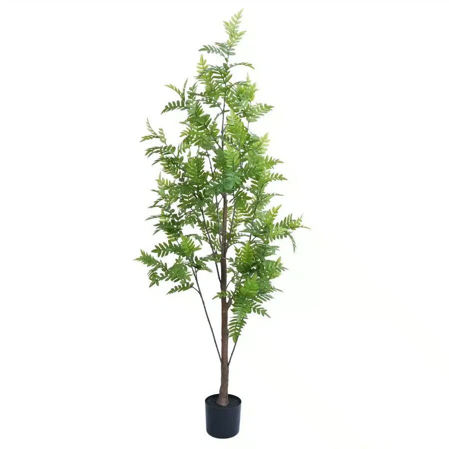 Premium Real Touch Artificial Bracken Palm Tree 180cm