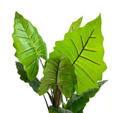 Nearly Natural Artificial Taro Elephant Ear Palm 170cm - Side View