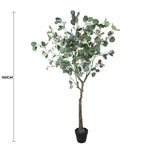 Artificial Eucalyptus Tree (Red Box Eucalyptus Polyanthemos) 150cm - Front View