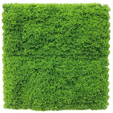 Fresh Natural Green Artificial Moss / Green Wall UV Resistant Sample