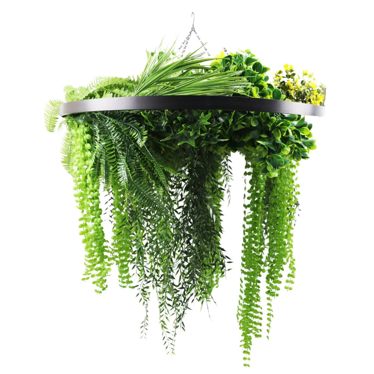 Black Framed Roof Hanging Disc With Draping Life-Like Ferns and Plants 80cm UV Resistant