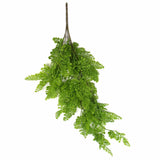 Hanging Native Green Dense Maiden Hair Fern Bush UV Resistant 80cm - Side View