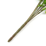 Hanging Native Green Dense Maiden Hair Fern Bush UV Resistant 80cm - Top-Down View