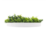 Flowering White Artificial Green Wall Disc UV Resistant 75cm (White Frame) - Front View