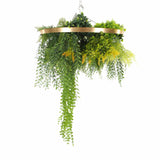 Premium Hanging Artificial Plant Arrangement with Gold Frame 40cm (Limited Edition) - Top-Down View