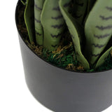 Artificial Snake Plant Sansevieria UV Resistant 85cm - Top-Down View