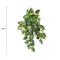Artificial Hanging / Draping Tradescantia Zebrina 42cm