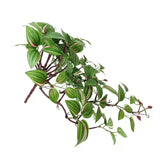 Artificial Hanging / Draping Wandering Jew 42cm - Top-Down View