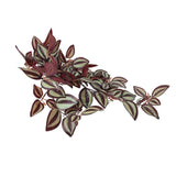 Artificial Hanging / Draping Burgundy Tradescantia Zebrina 42cm - Top-Down View