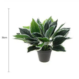 Dense Potted Artificial Calathea Plant 35cm - Front View