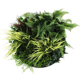 Slimline Artificial Green Wall Disc Art 50cm Grassy Fern Fields UV Resistant (Black)