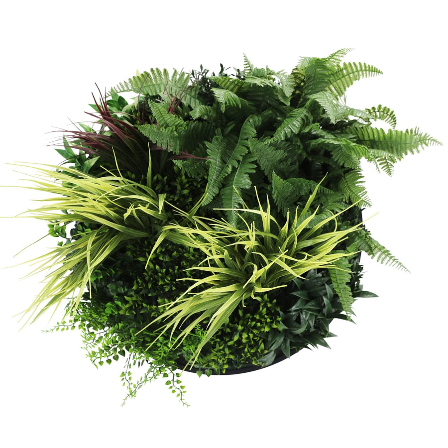 Slimline Artificial Green Wall Disc Art 50cm Grassy Fern Fields UV Resistant (Black)