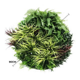 Slimline Artificial Green Wall Disc Art 80cm Grassy Fern UV Resistant (Black) - Front View