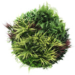 Slimline Artificial Green Wall Disc Art 80cm Grassy Fern UV Resistant (White)