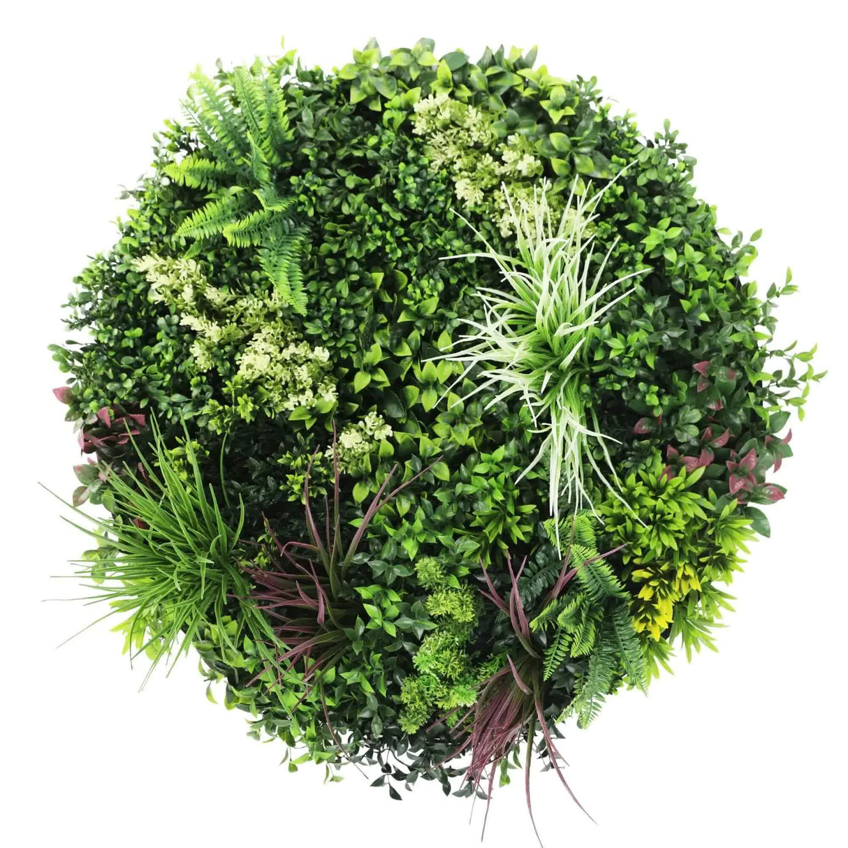 Slimline Artificial Green Wall Disc Art 80cm Colour Fresh UV Resistant (Black)