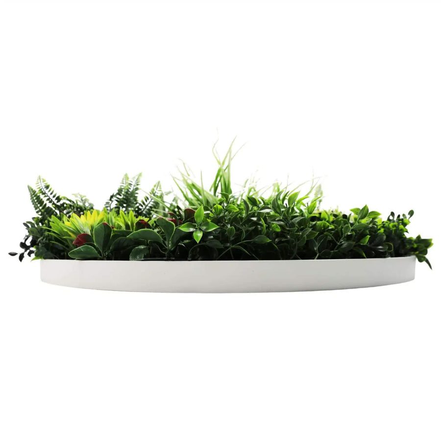 Slimline Artificial Green Wall Disc Art 80cm Colour Fresh UV Resistant (White)
