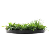 Slimline Artificial Green Wall Disc Art 80cm Country Fern UV Resistant (Black) - Top-Down View
