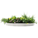 Slimline Artificial Green Wall Disc Art 60cm Country Fern UV Resistant (White) - Top-Down View