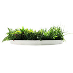 Slimline Artificial Green Wall Disc Art 80cm Country Fern UV Resistant (White)