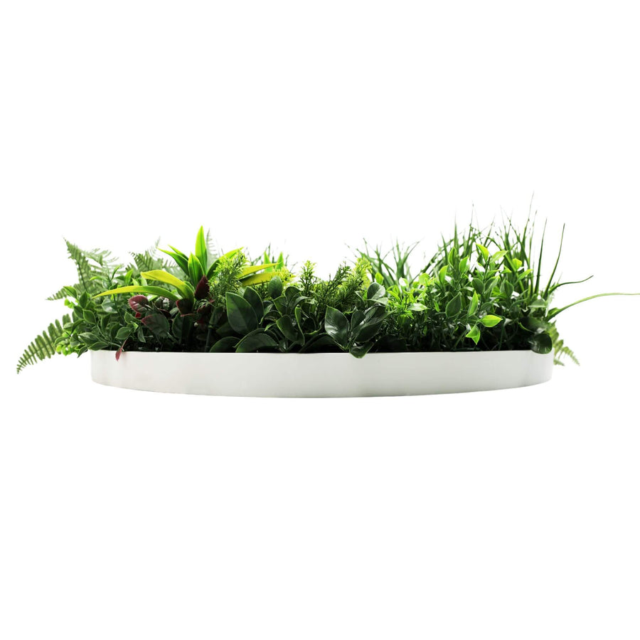 Slimline Artificial Green Wall Disc Art 80cm Country Fern UV Resistant (White)