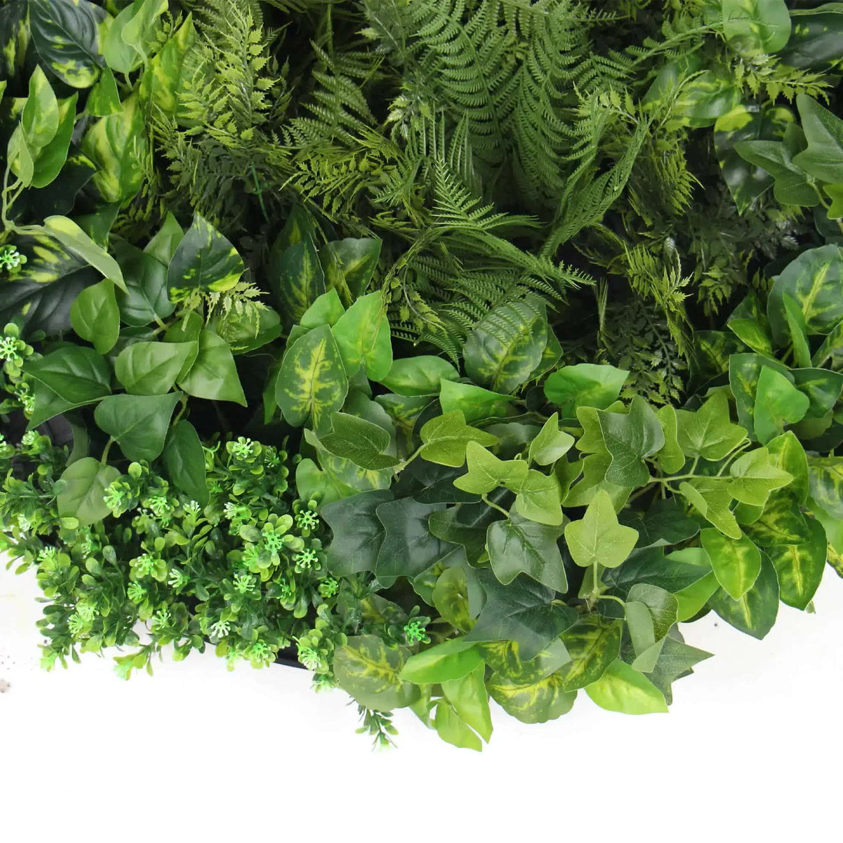 Slimline Artificial Green Wall Disc Art 80cm Mixed Green Fern & Ivy (Modern Black)