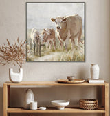 Cows In The Paddock Framed Canvas 80x80cm - Front View