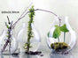 Glass Wide Bubble Vase 22cm