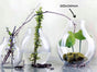Glass Wide Bubble Vase 34cm