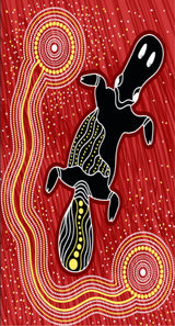 BSTC Head Socks, Platypus - Front View