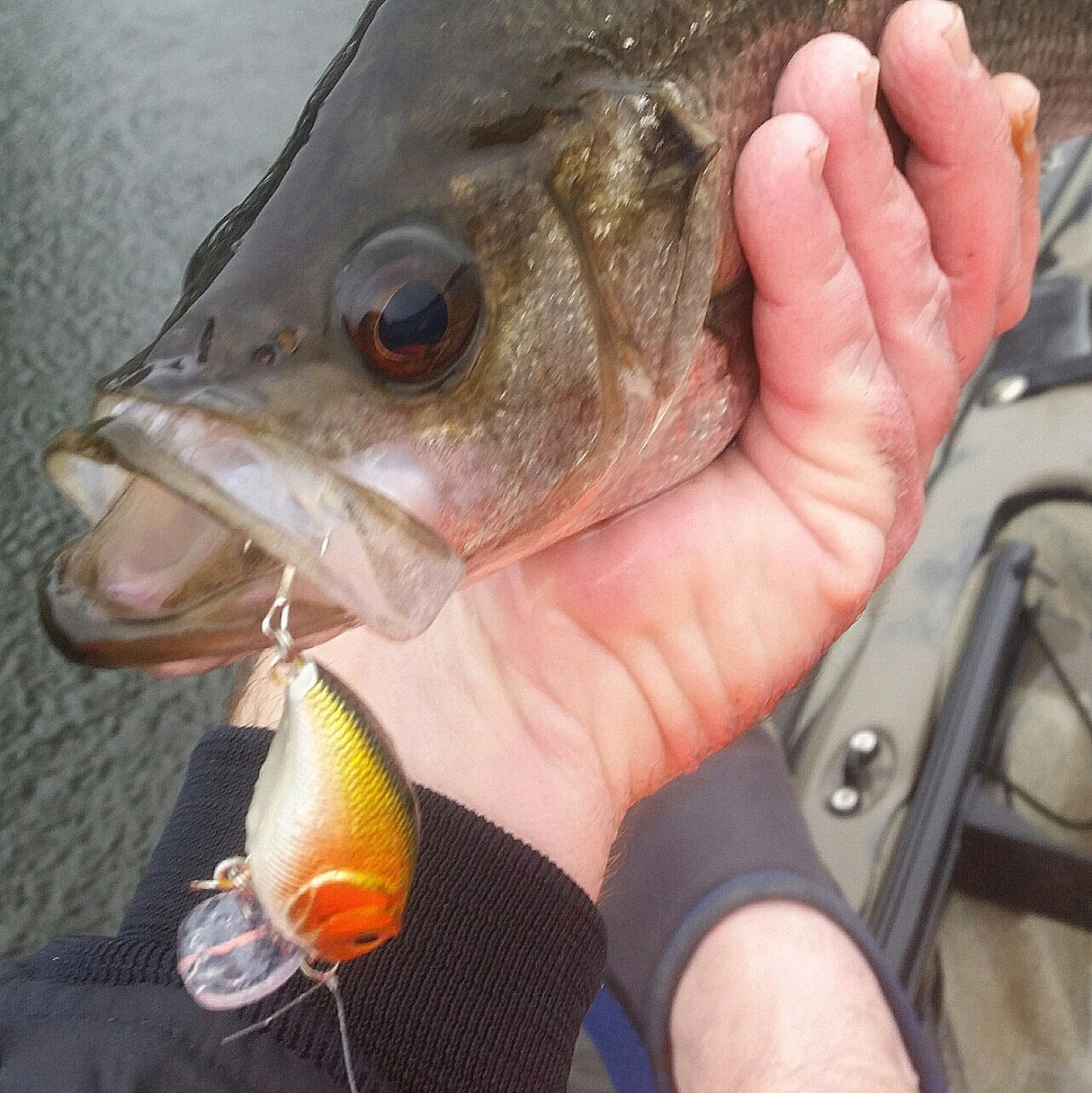 Toppu Mizzu  Wakebait, 55mm, Camo Blue