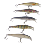 Finesse Naturals Rainbow 60 Diving Lure - Front View