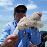 Finesse Metal Blade, Gold Flash, 55mm, 2 Pack - Front View