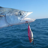 Finesse Feather Blade, Magenta Gold, 55mm, 2 Pack - Front View