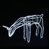 Small Moving Cool White LED Ropelight Reindeer for Outdoor Decoration - Two Styles Available - 45-Degree Angle