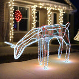 Small Moving Cool White LED Ropelight Reindeer for Outdoor Decoration - Two Styles Available - Rear View