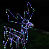Illuminated Twinkling Reindeer Display – 110cm, Available in Two Vibrant Colors - Side View