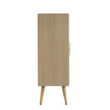 TWO DOOR RATTAN CABINET - Close-Up Angle