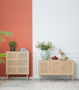 TWO DOOR RATTAN CABINET - Extra Image