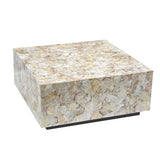 CLUSTER MOTHER OF PEARL HAND MADE COFFEE TABLE - Front View