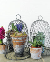 casa-verde-mini-wire-cloche-antique-zinc-cv05164 - Front View