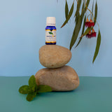 Amrita Court Pure and Essential Oils Breathe Easy 10ml - Front View