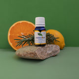 Amrita Court Pure and Essential Oils Purify 10ml - Front View