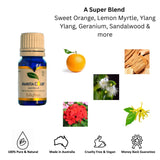 Amrita Court Pure and Essential Oils Enlighten 10ml - Top-Down View