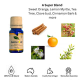 Gift Box - Crystal Bottle (Aquamarine) + Purify Oil Blend - Low Angle