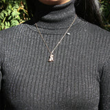 Gift Box - Dog Rose Gold Aroma Necklace + Purify Oil Blend - 45-Degree Angle