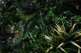 UV Stabilized Green Forest Select Range Vertical Garden 100cm X 100cm - Top-Down View