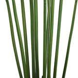 Artificial Multi Stem Hawaii Palm 190cm